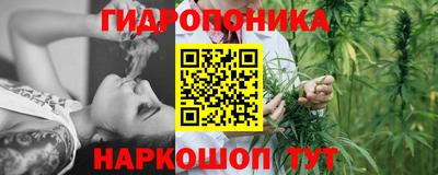 МДПВ Лесосибирск